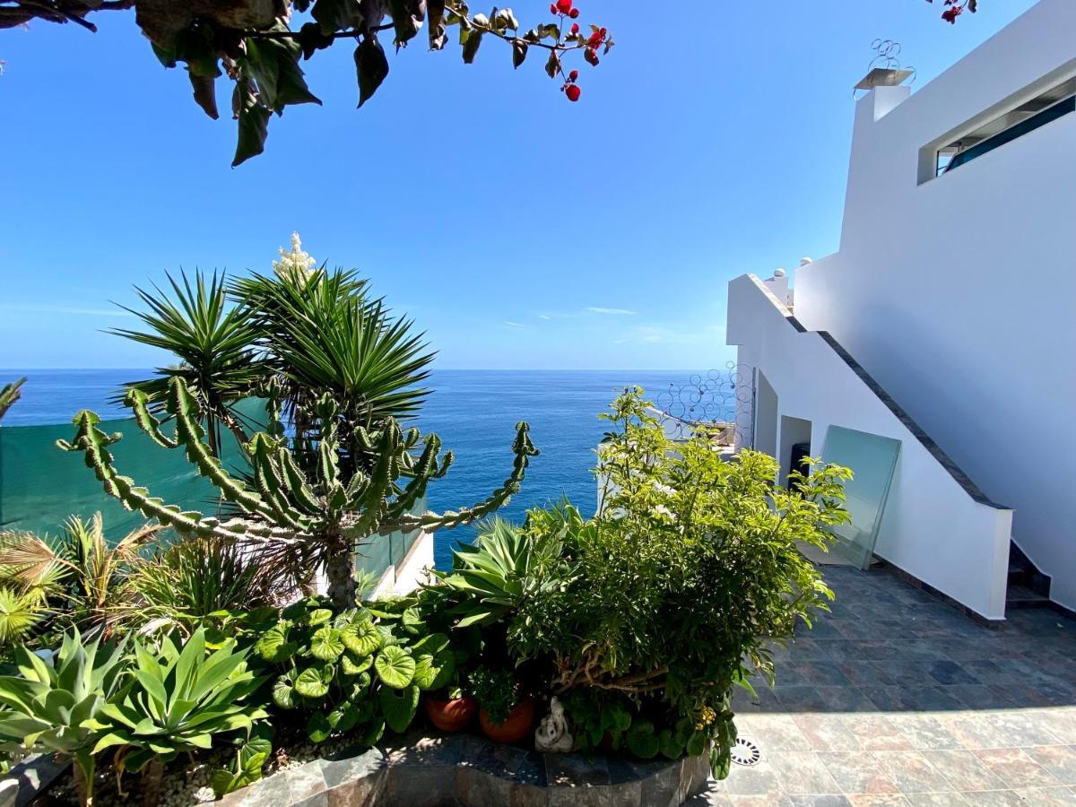Oasis La Paz - Pelicar - Adults Only - *
