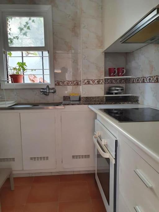 Appartement Luminoso Con Patio Y Jardin Puerto de la Cruz (Tenerife)
