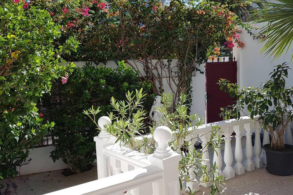 Luminoso Con Patio Y Jardin Appartement *