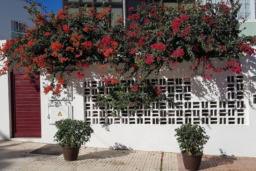 Appartement Luminoso Con Patio Y Jardin *