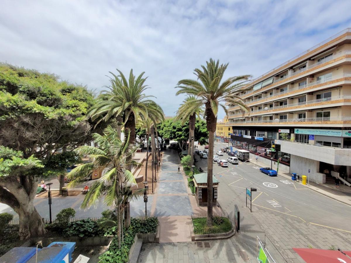 Little * Puerto de la Cruz (Tenerife)