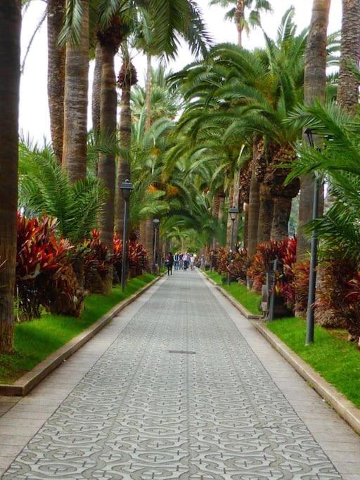 First Line * Puerto de la Cruz (Tenerife)