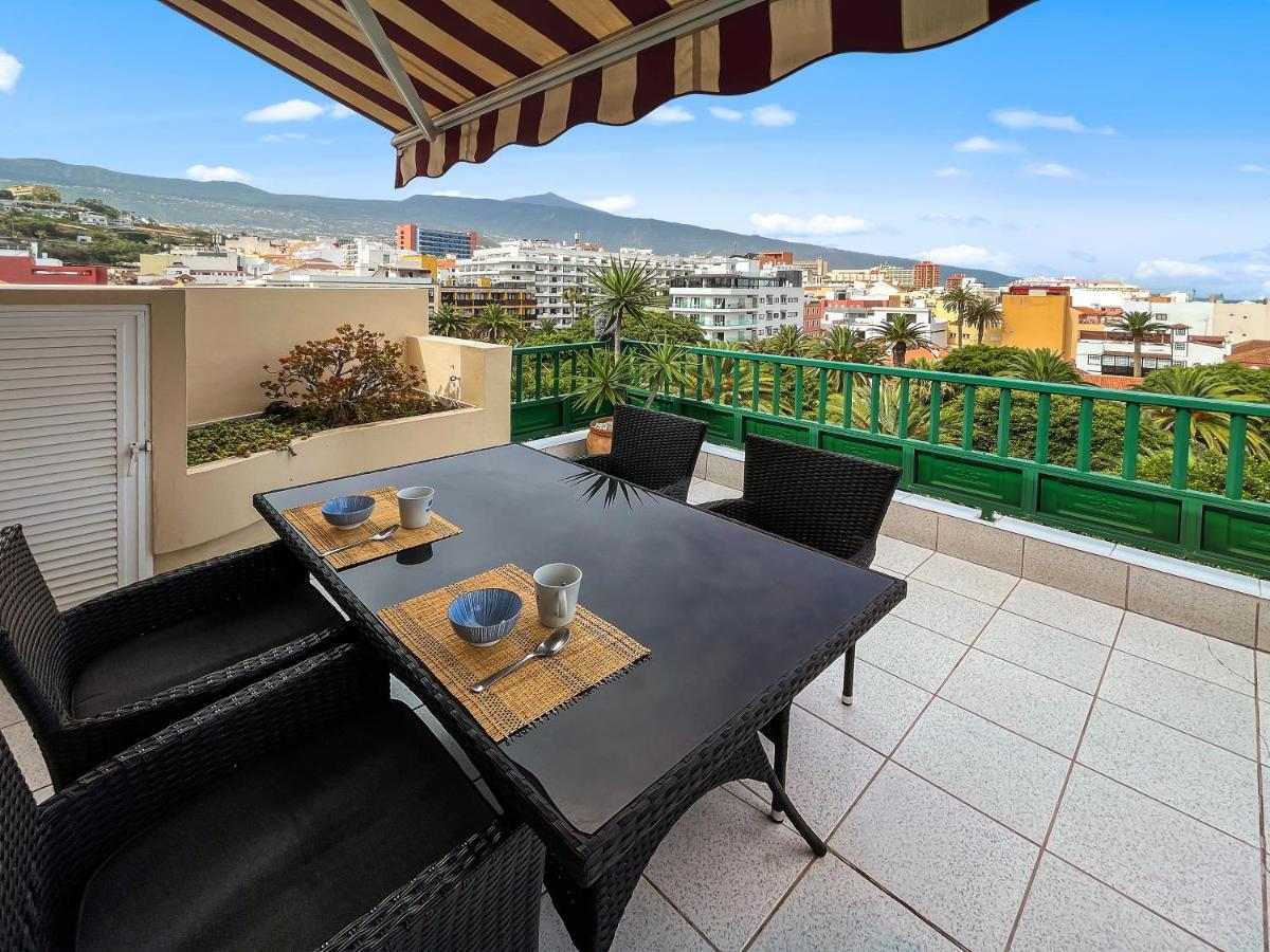 Large Penthouse With Sunny Terrace Apartment