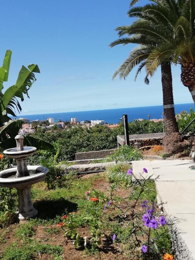 Tapias, Casa Mane Puerto de la Cruz (Tenerife)