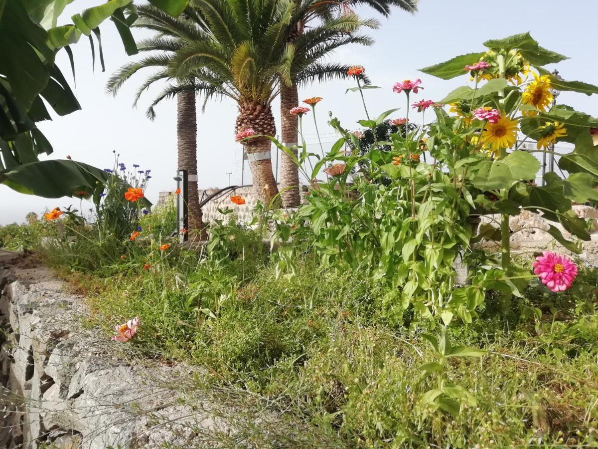 Tapias, Casa Mane Vakantiehuis *