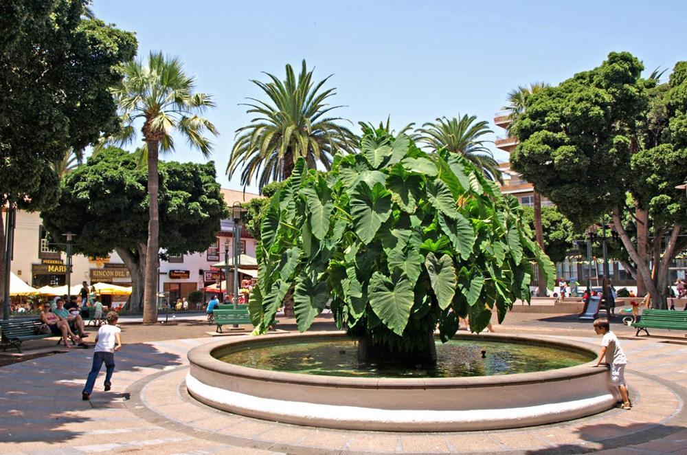 Heaven In Canary Islands 88 Apartment *