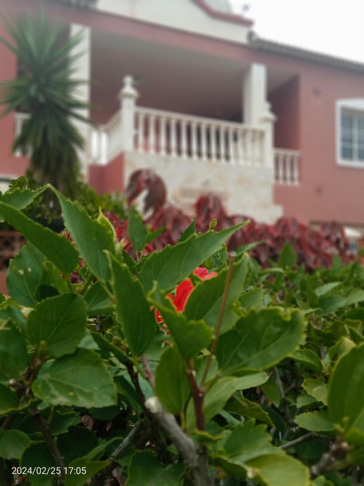 Apartment Beatifull Sea View In Pto Cruz