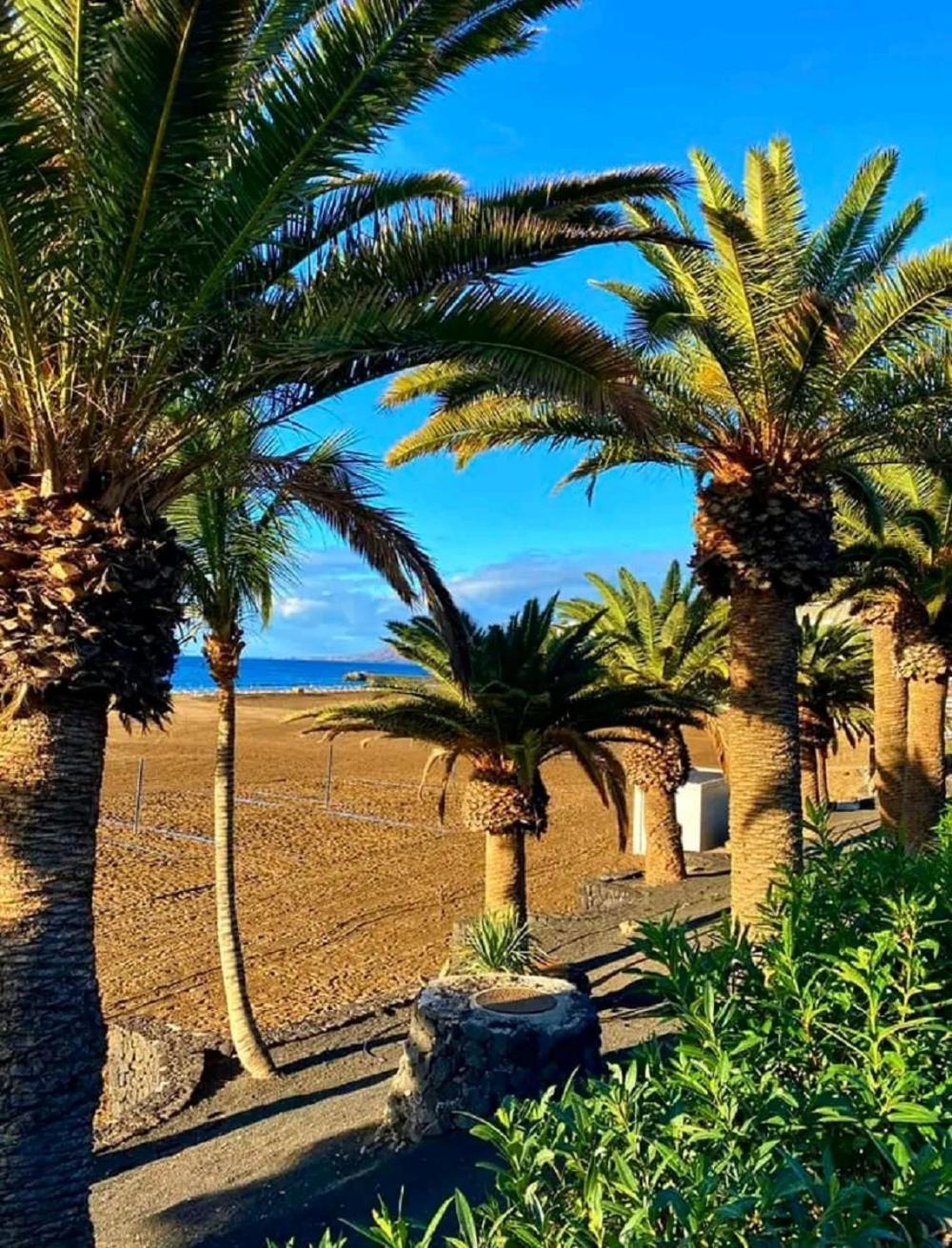 Beatifull Sea View In Pto Cruz * Puerto de la Cruz (Tenerife)