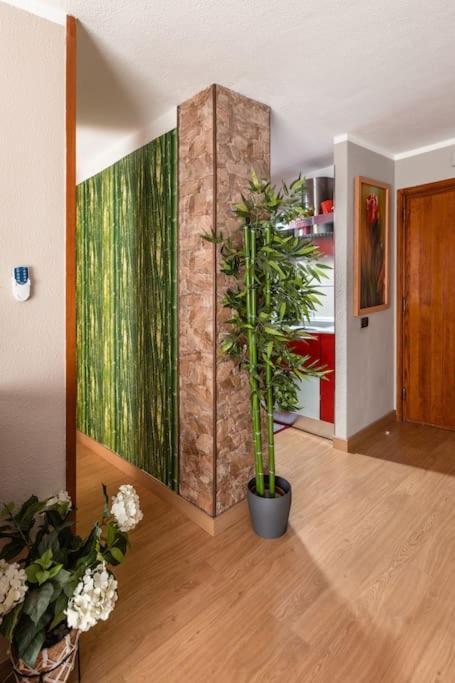 Martianez Playa: Coastal Location Apartment *