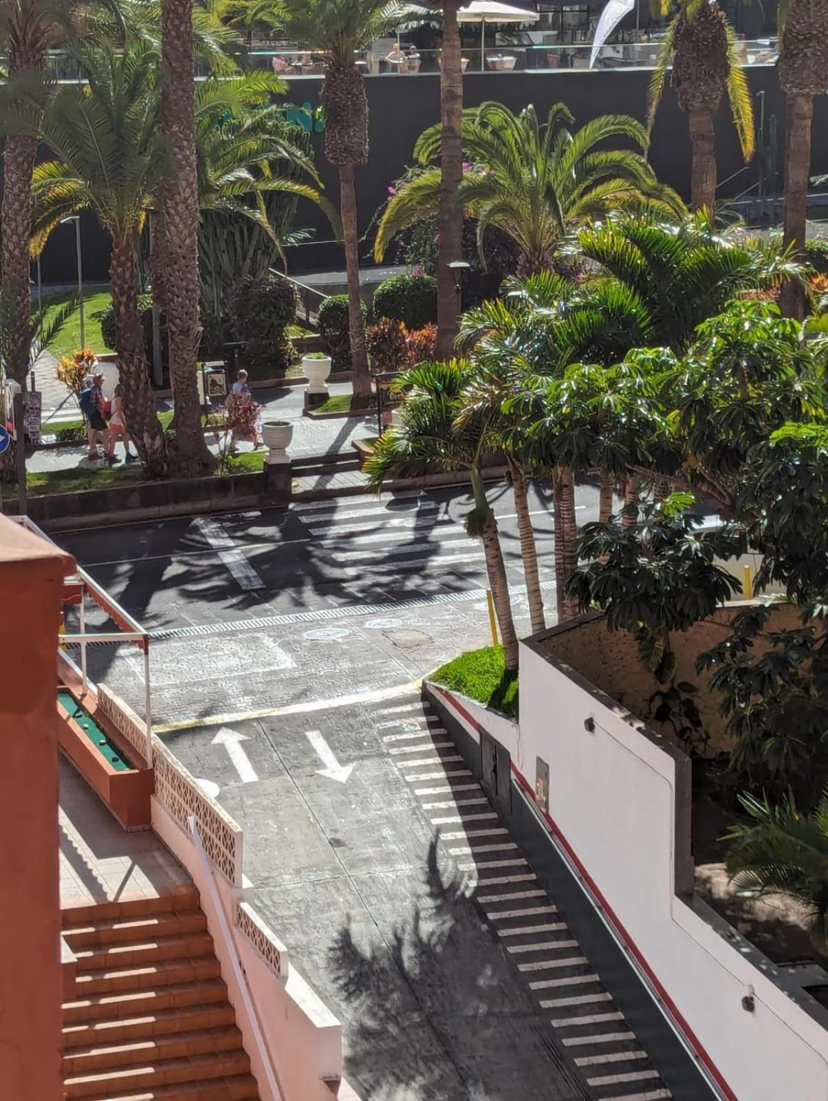 Cozy * Puerto de la Cruz (Tenerife)