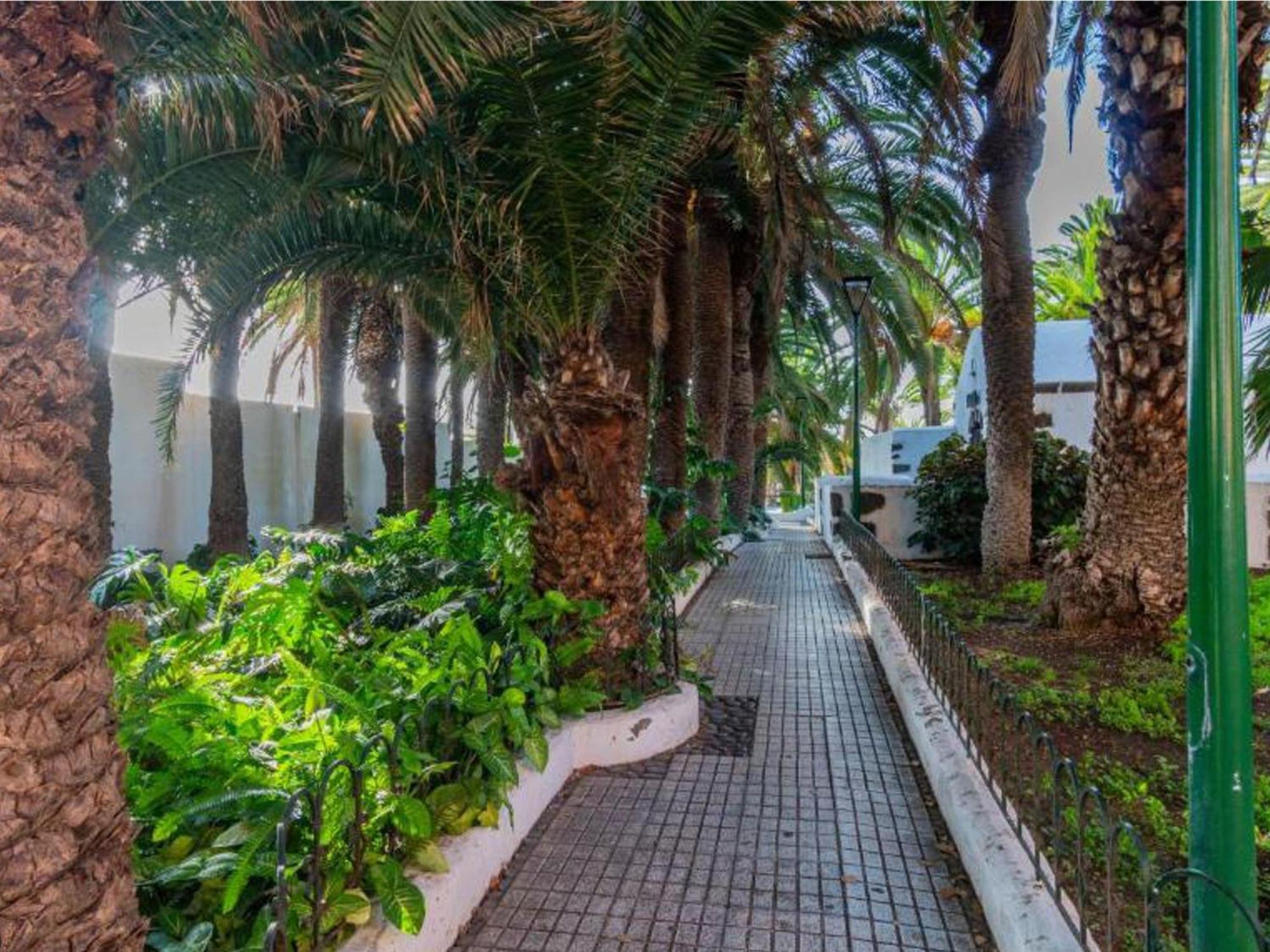 Appartement Live Puerto Valle Luz Puerto de la Cruz (Tenerife)