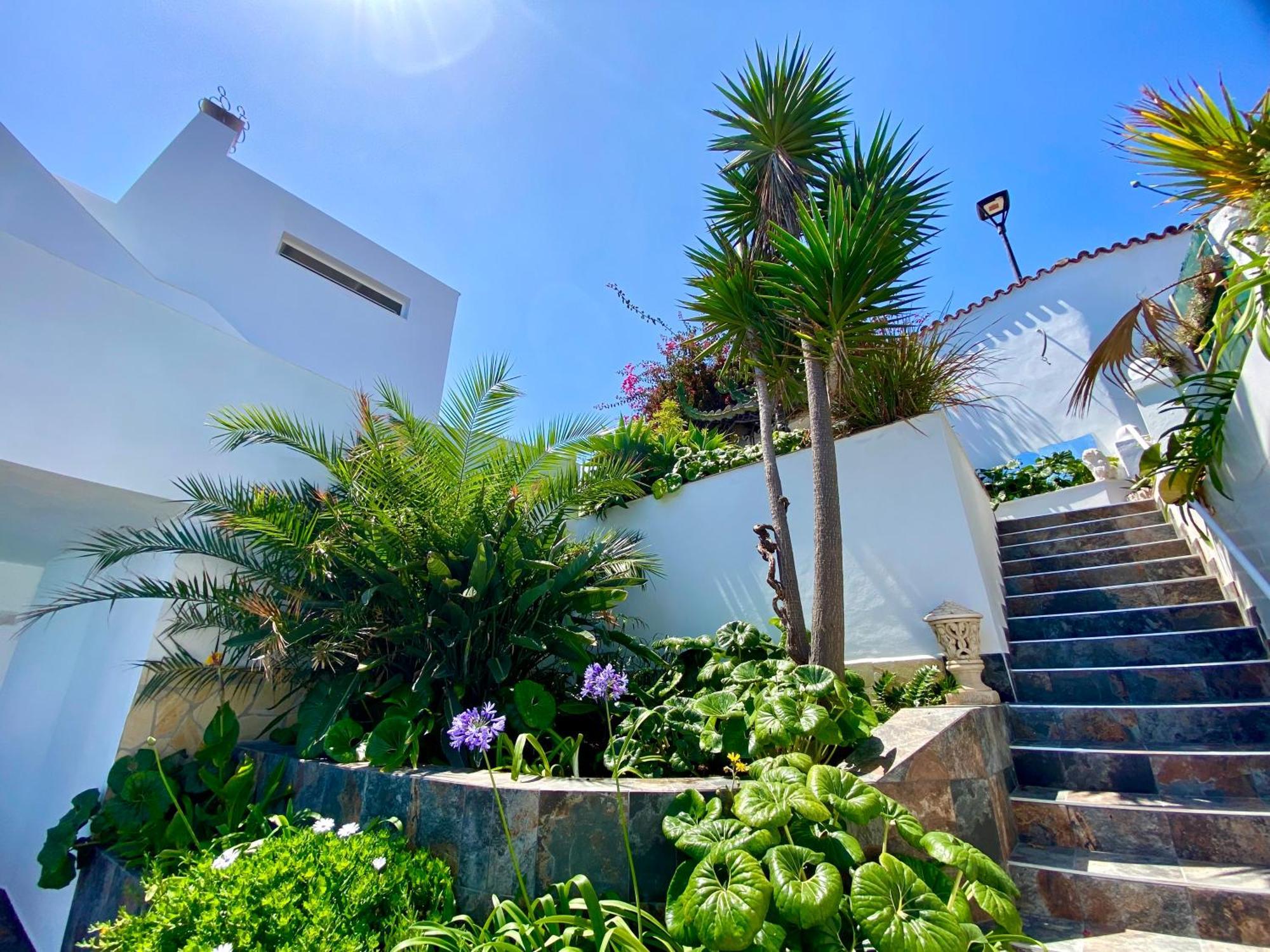 Oasis La Paz - Pelicar - Adults Only - Apartment *