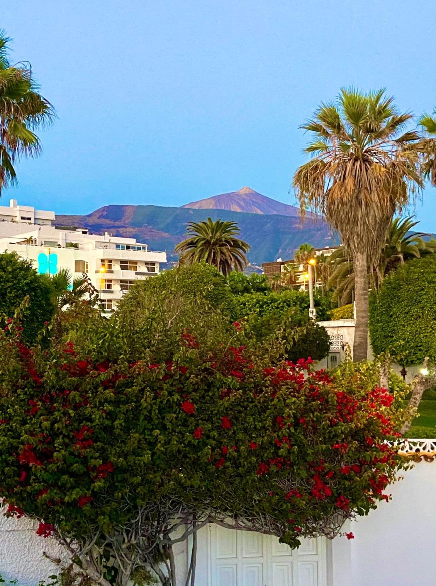Apartment Oasis La Paz - Pelicar - Adults Only -