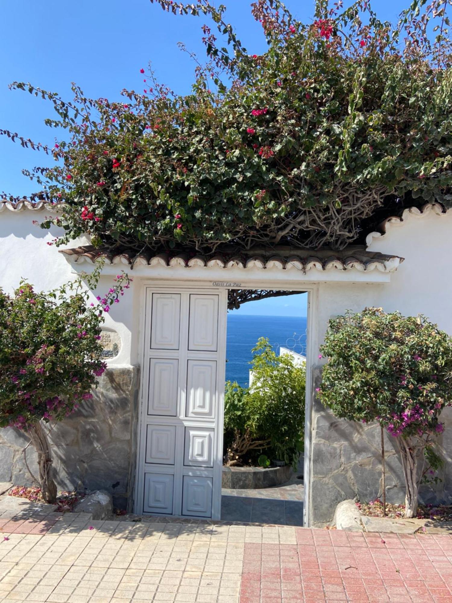 Oasis La Paz - Pelicar - Adults Only -