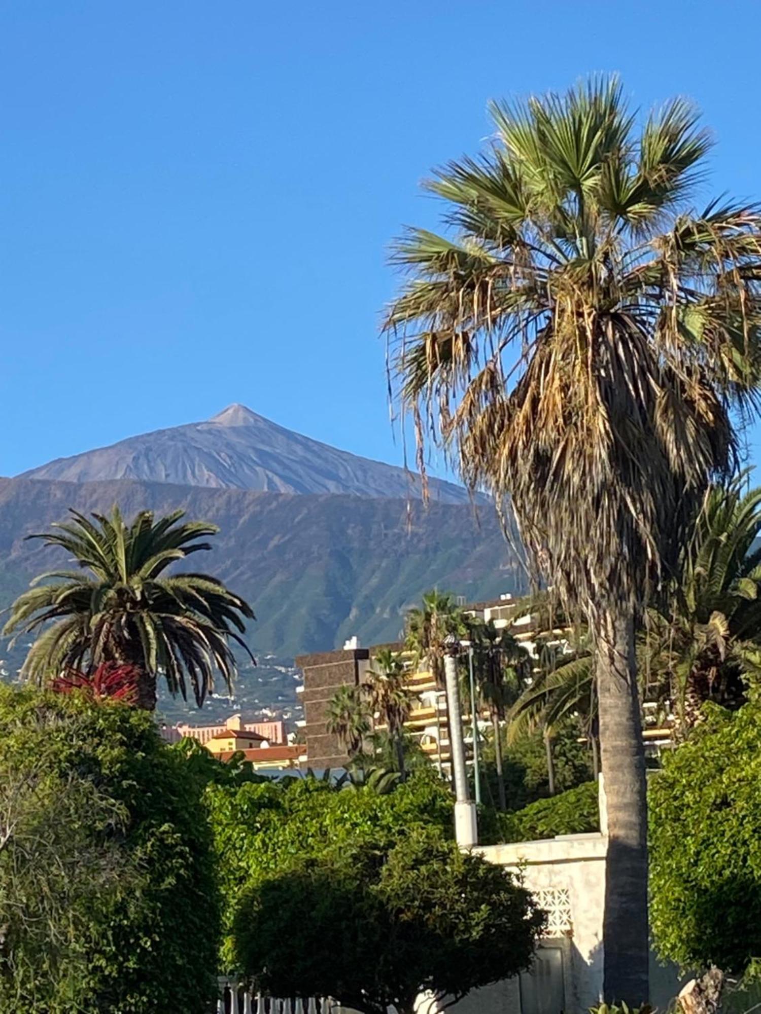 Huoneisto Oasis La Paz - Pelinor - Adults Only Puerto de la Cruz (Tenerife)