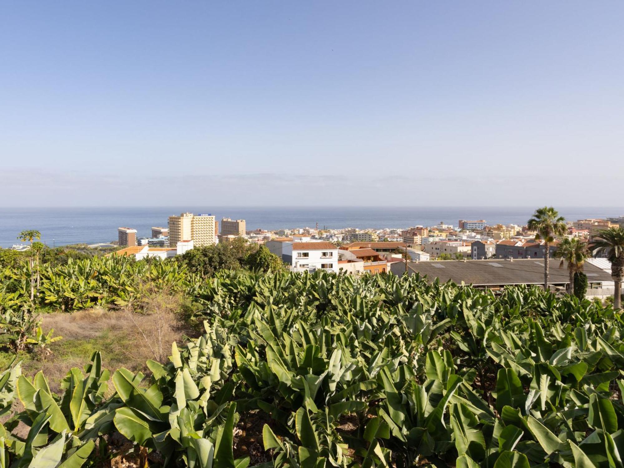 Loma-asunnot Barreto By Interhome Puerto de la Cruz (Tenerife)