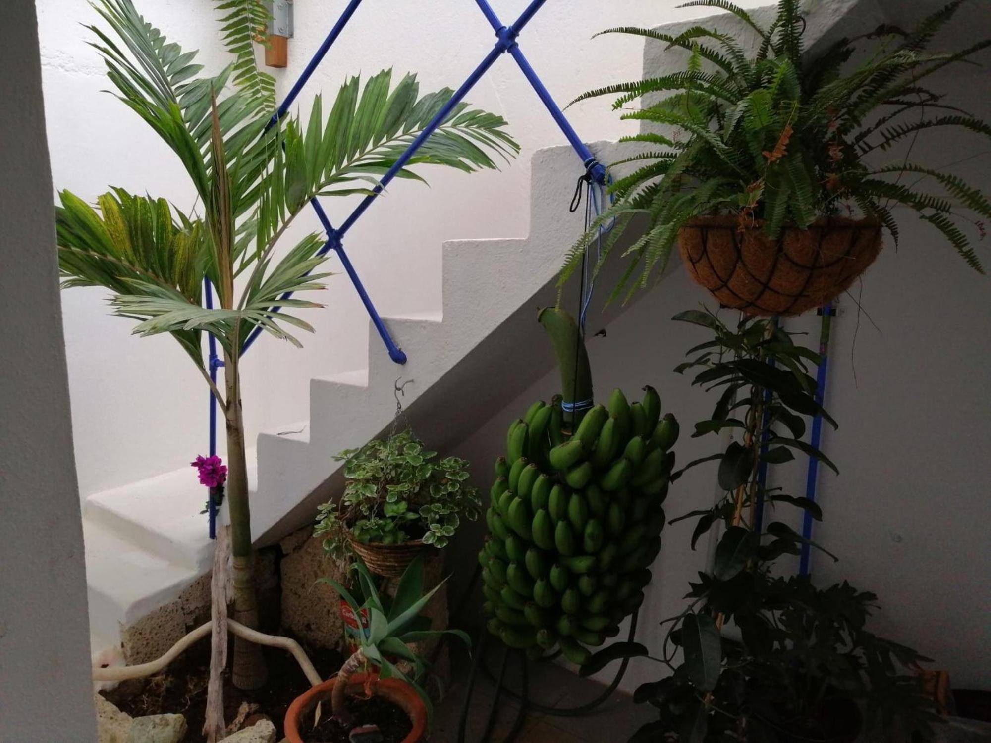 La Haciendita De La Casita Azul Appartement *