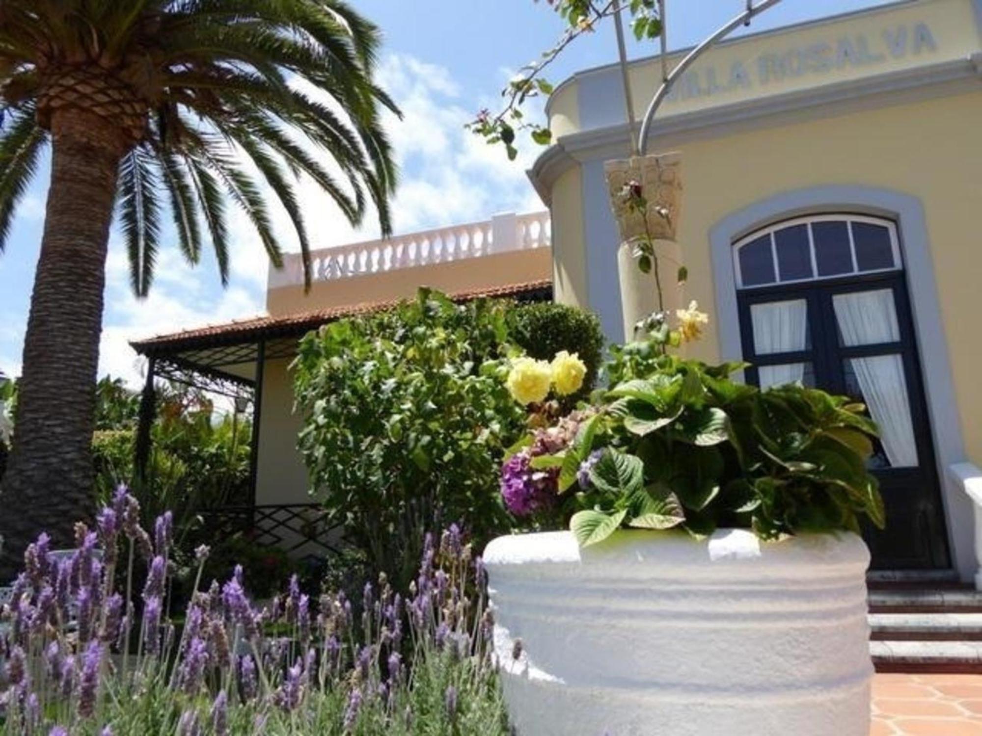 Apartment Schoene Mit Garten In *