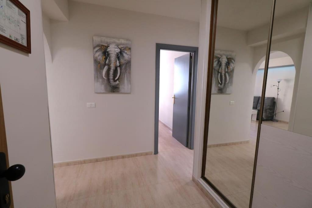 Apartment Atis Tirma