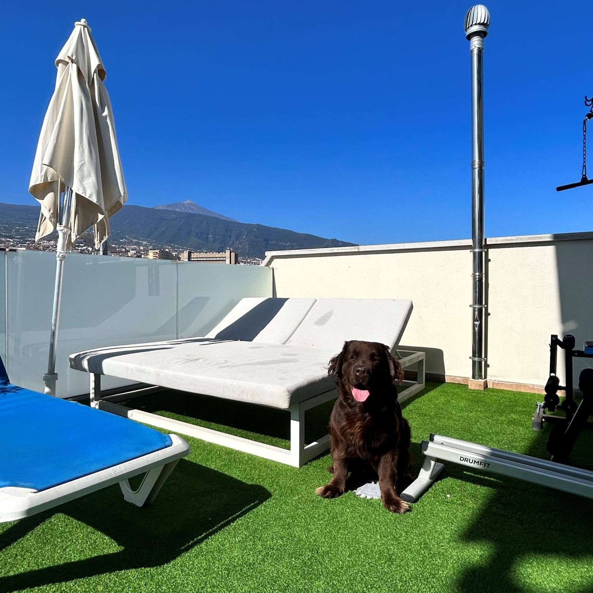 Otel Puerto Azul 2*