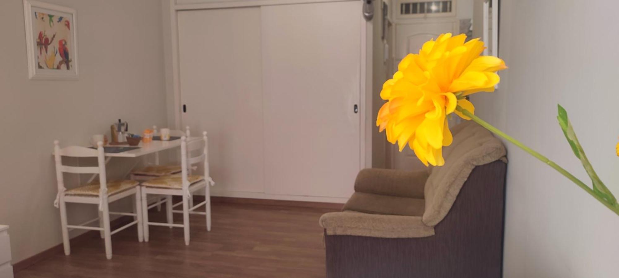 Apartment Brisa Del Sol *