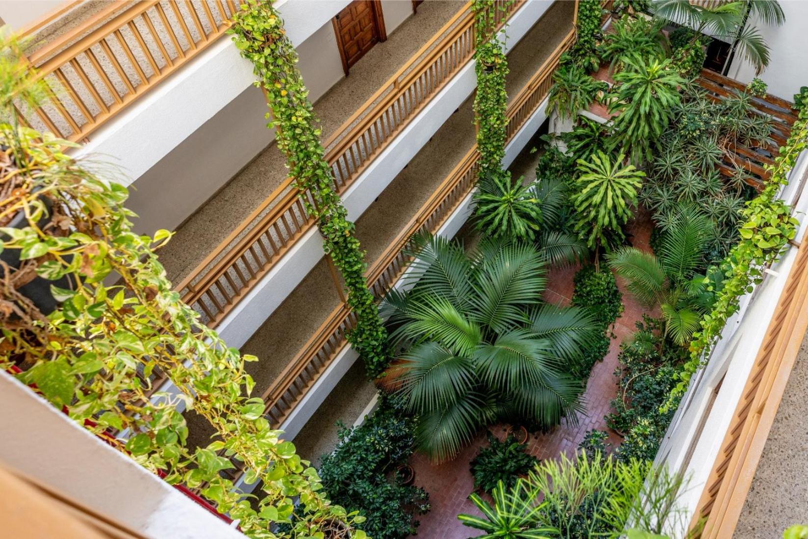 Estudio En El Centro Del Puerto de la Cruz (Tenerife)