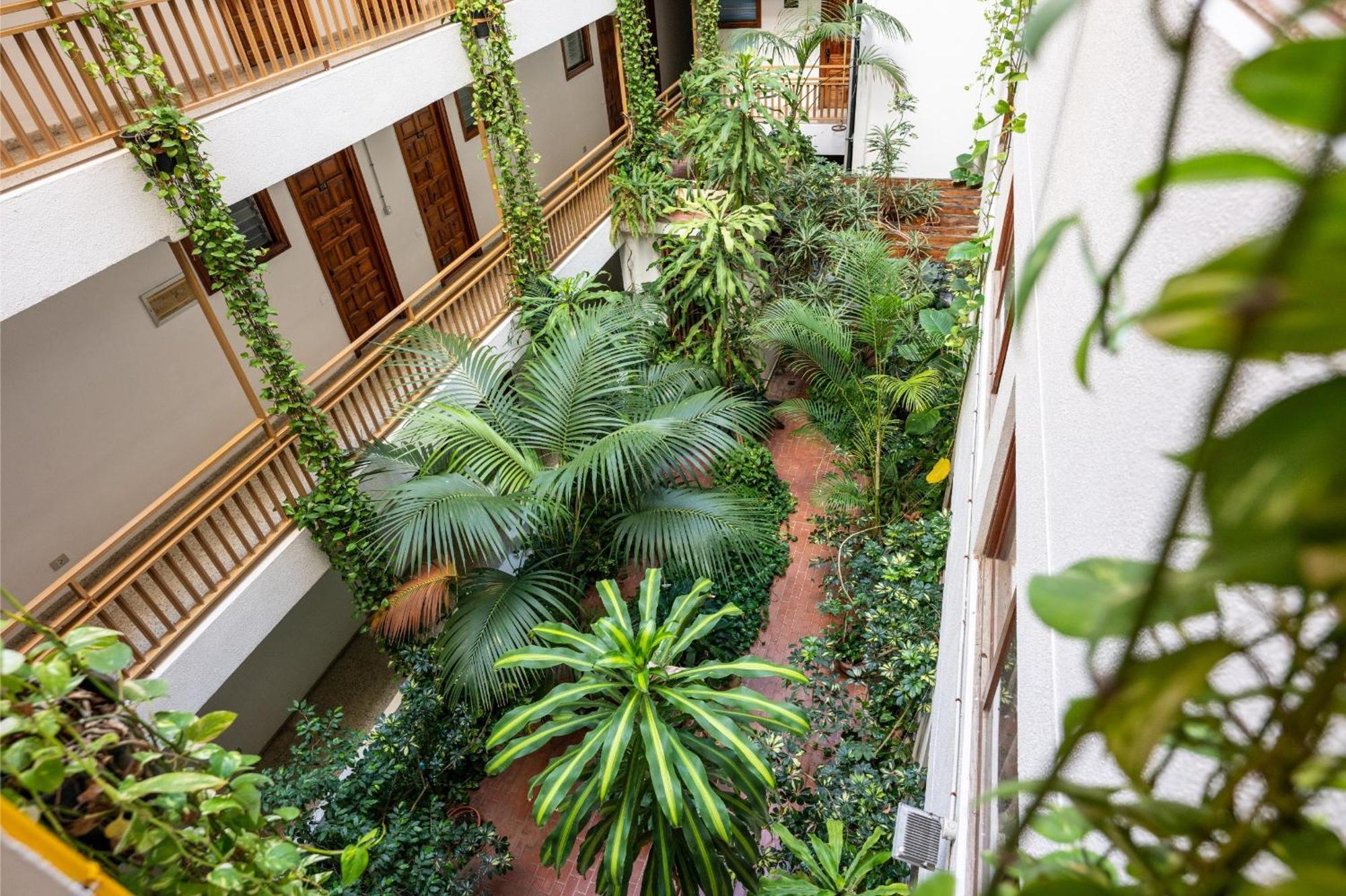 Estudio En El Centro Del Apartment