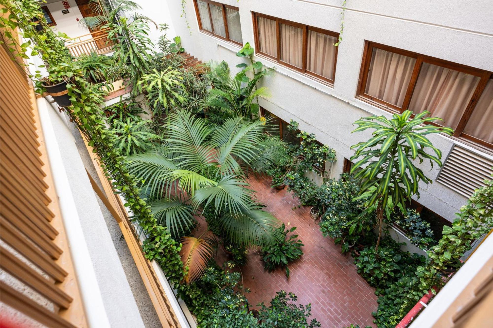 Estudio En El Centro Del * Puerto de la Cruz (Tenerife)