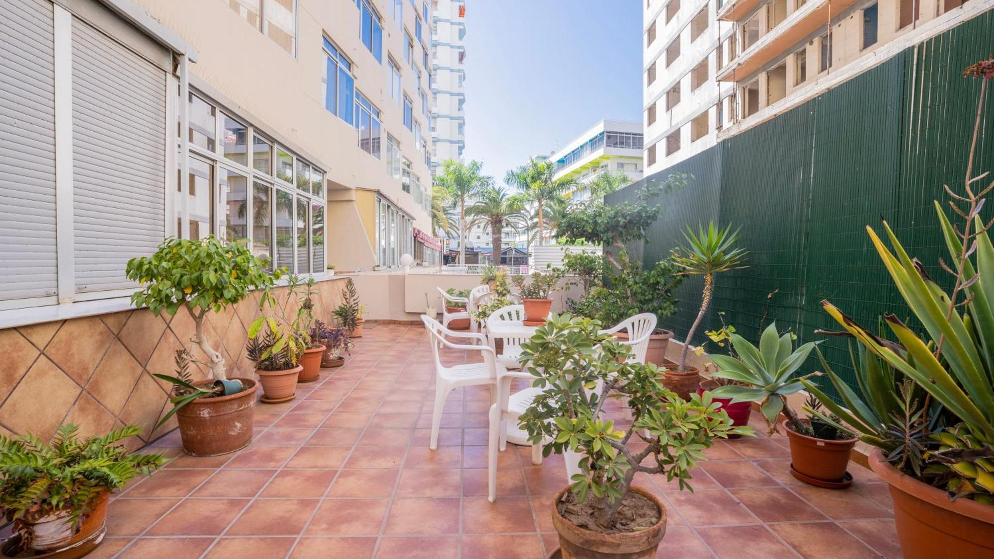 Nicalex Apartment *