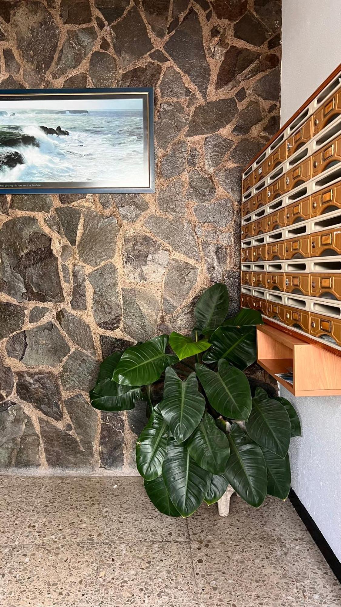 Casa Tatiana Puerto de la Cruz (Tenerife)
