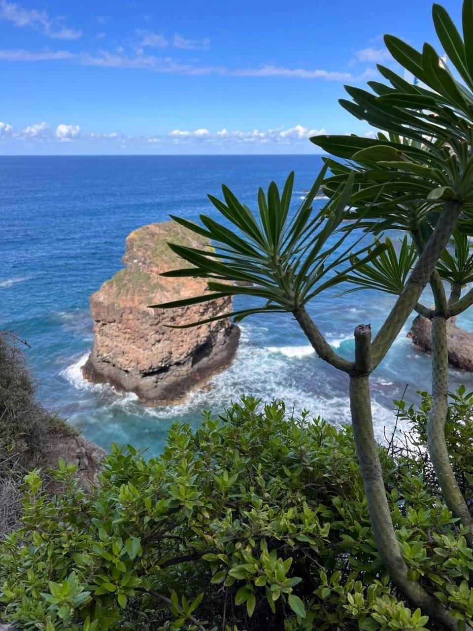 Casa Tatiana Puerto de la Cruz (Tenerife)