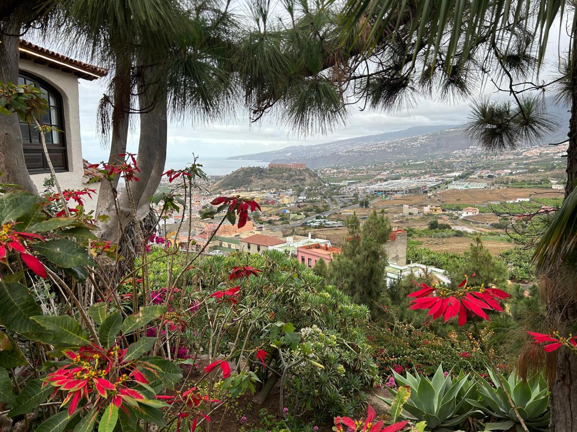 Apartment Avec Vue Sur La Puerto de la Cruz (Tenerife)