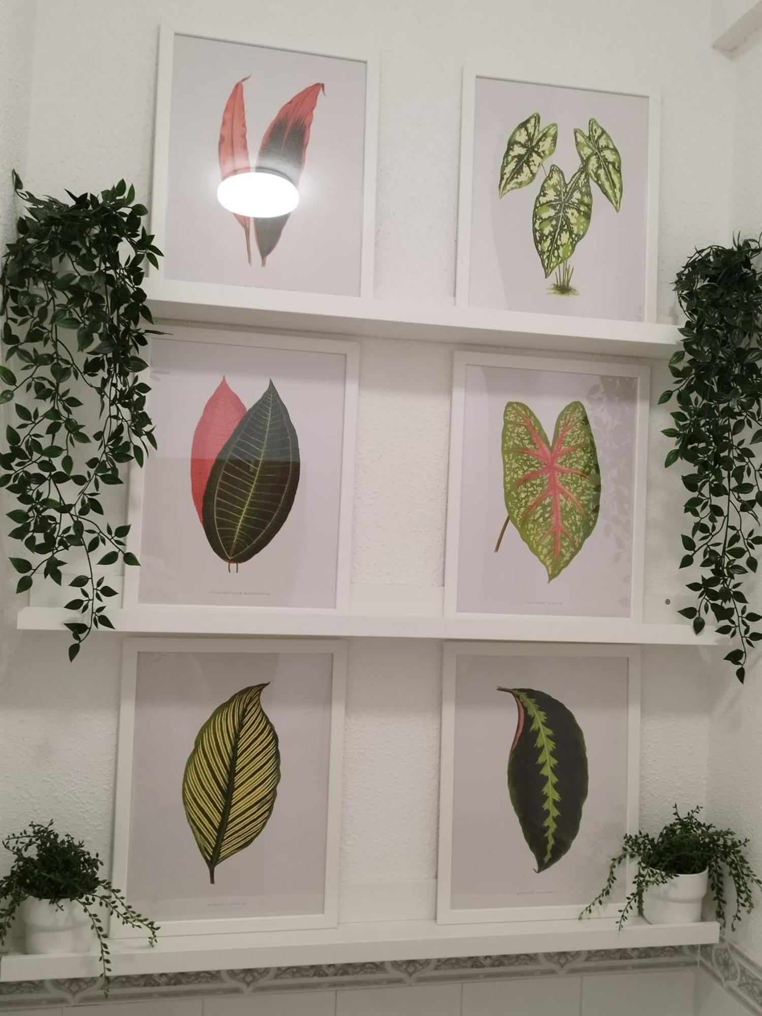 Jardin Del Mar Apartament