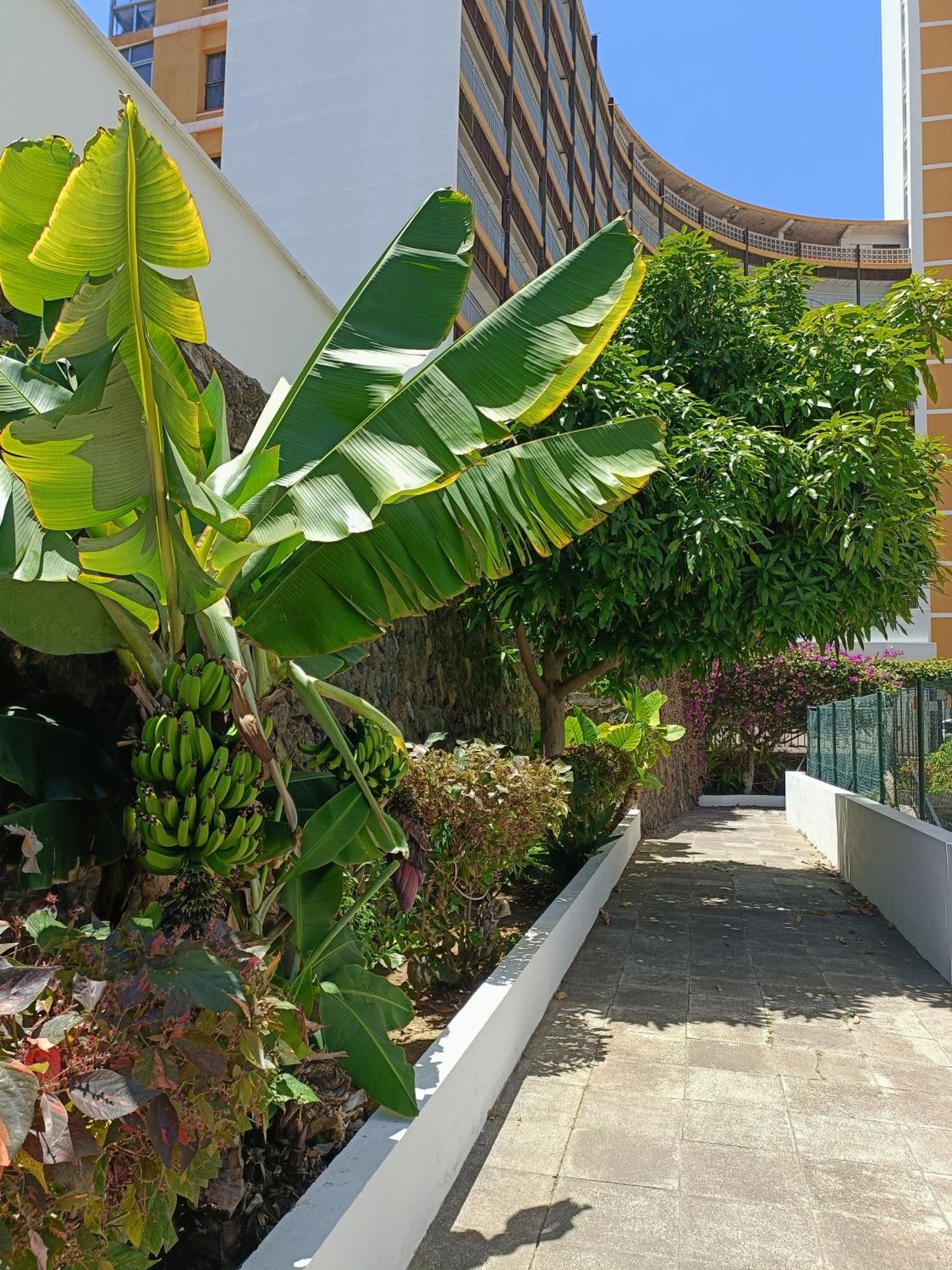 Apartment Duplex Sol Y Mar *