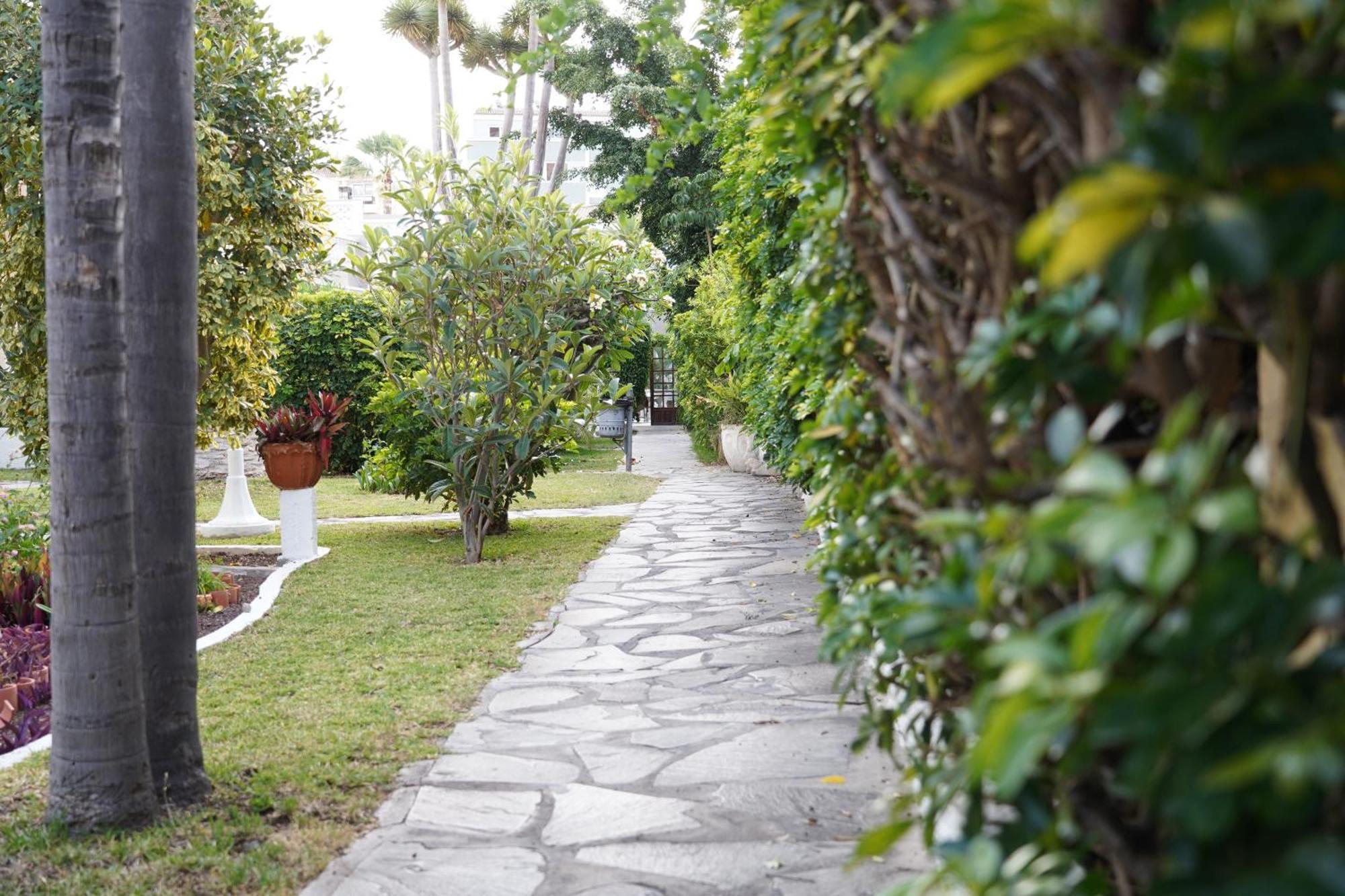 Rf San Borondon 3* Puerto de la Cruz (Tenerife)