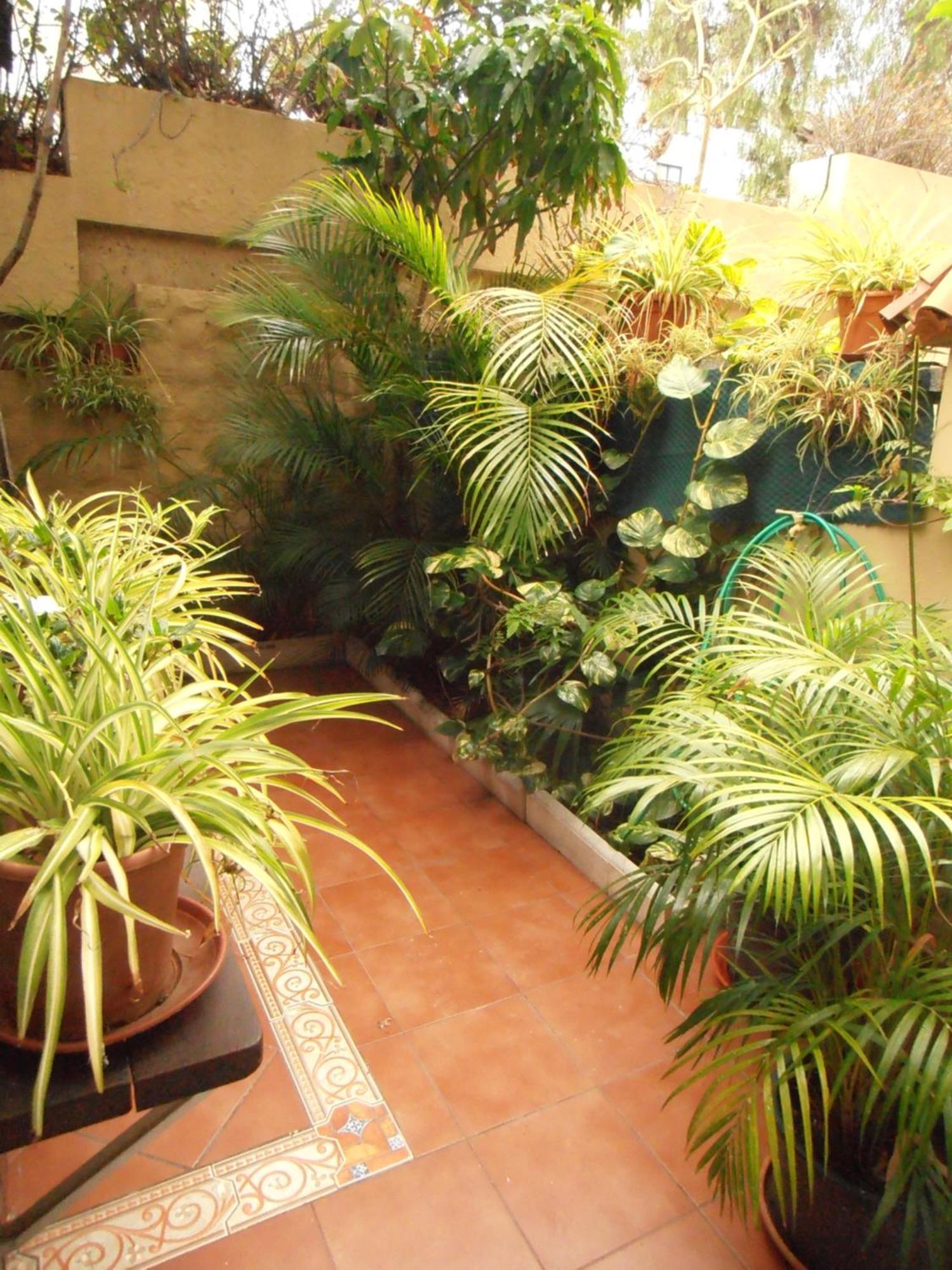 Oasis Garden