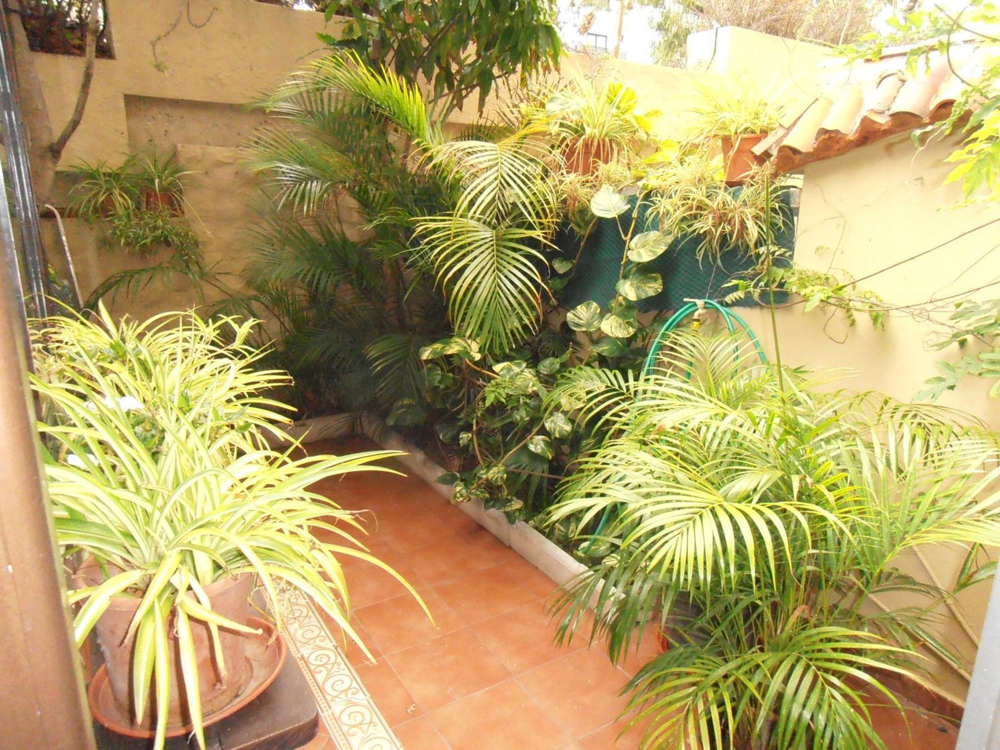 Oasis Garden Apartment *