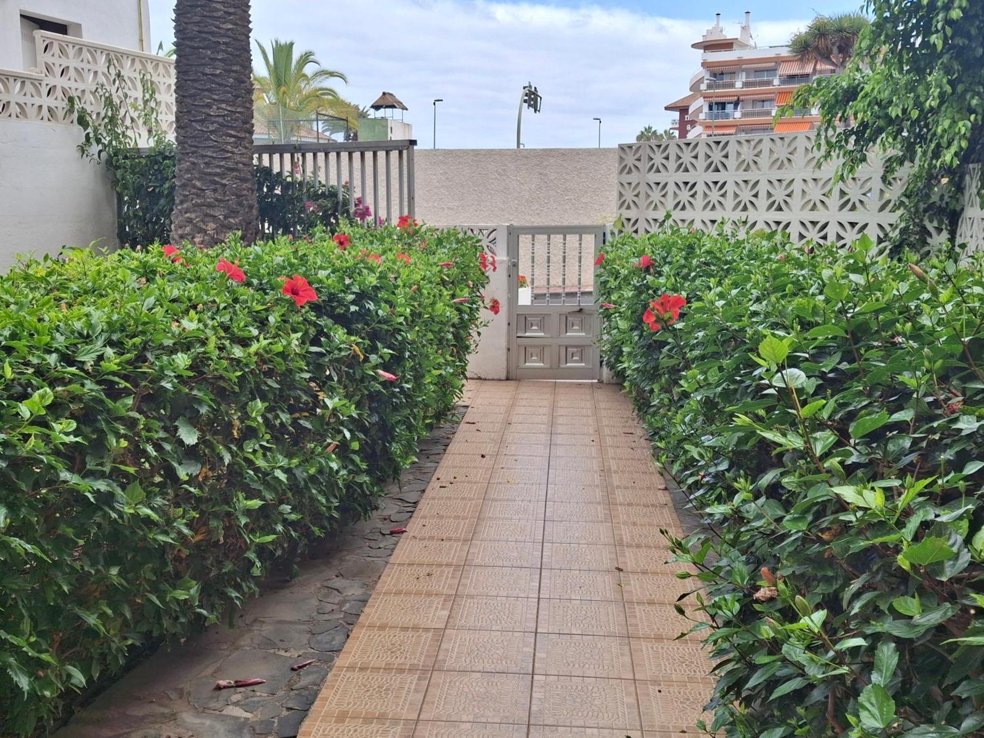 Luminoso Y Tranquilo Estudio Zona Botanico Apartment Puerto de la Cruz (Tenerife)