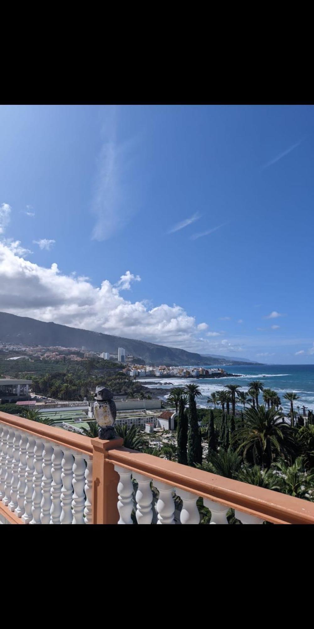Atlantico * Puerto de la Cruz (Tenerife)