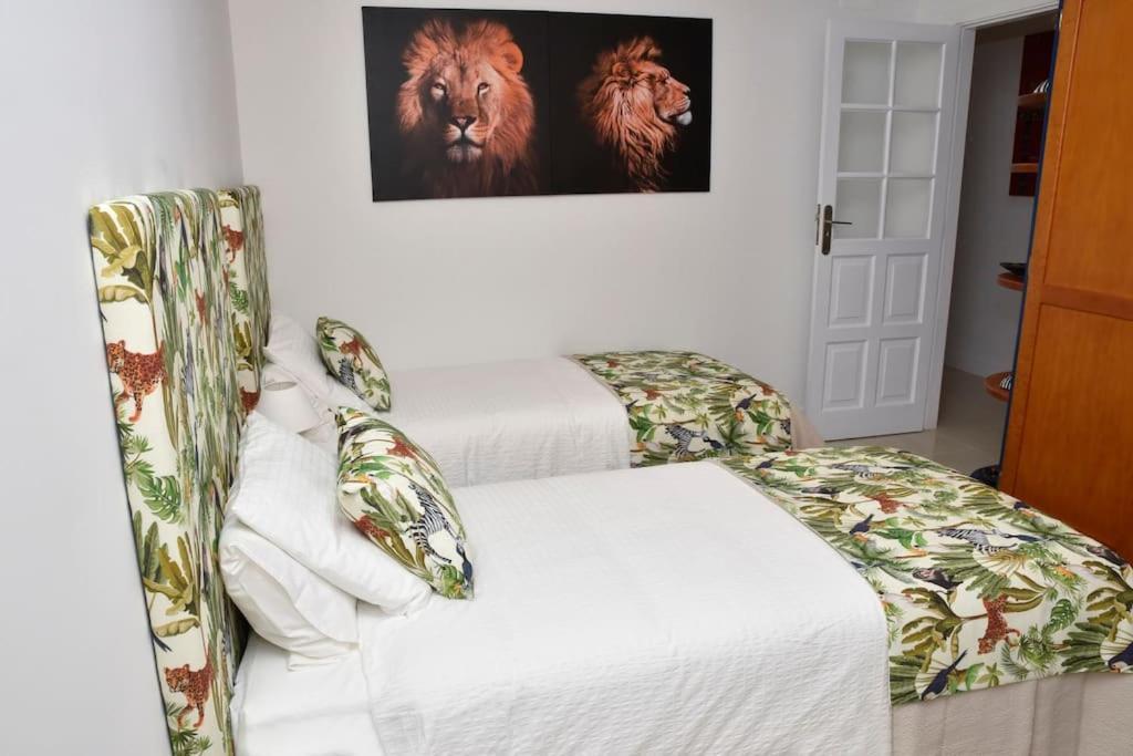 Bencomo Subset Apartment *