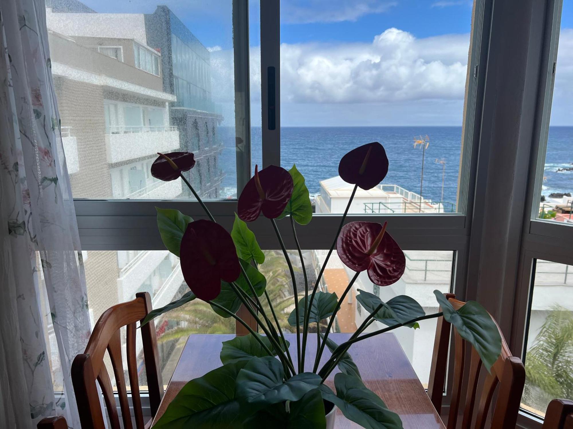 Vista Rosmary Appartement *