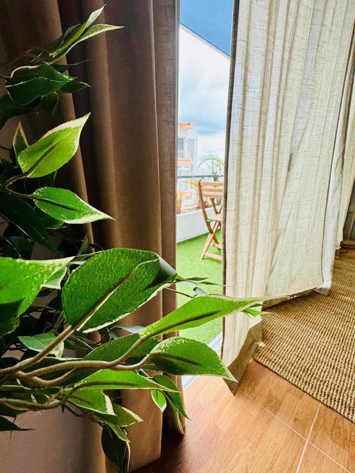 Apartment Oasis Tamaimo *