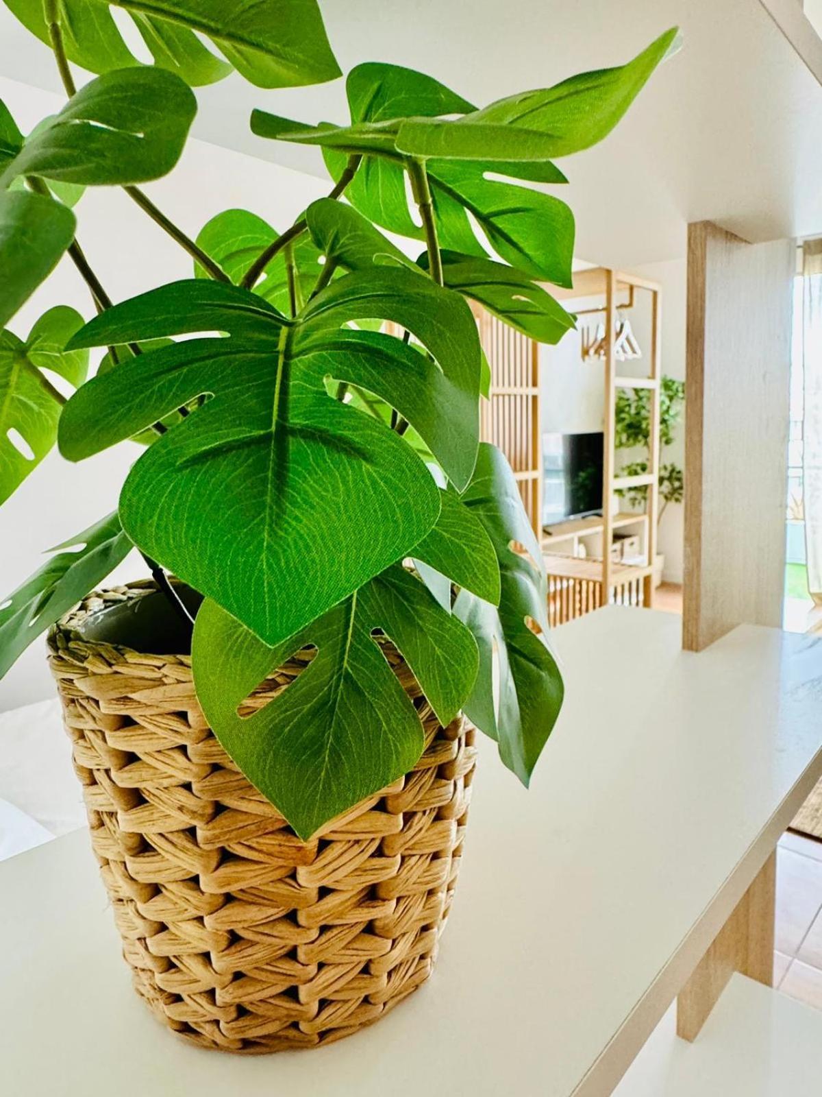 Oasis Tamaimo Apartment Puerto de la Cruz (Tenerife)