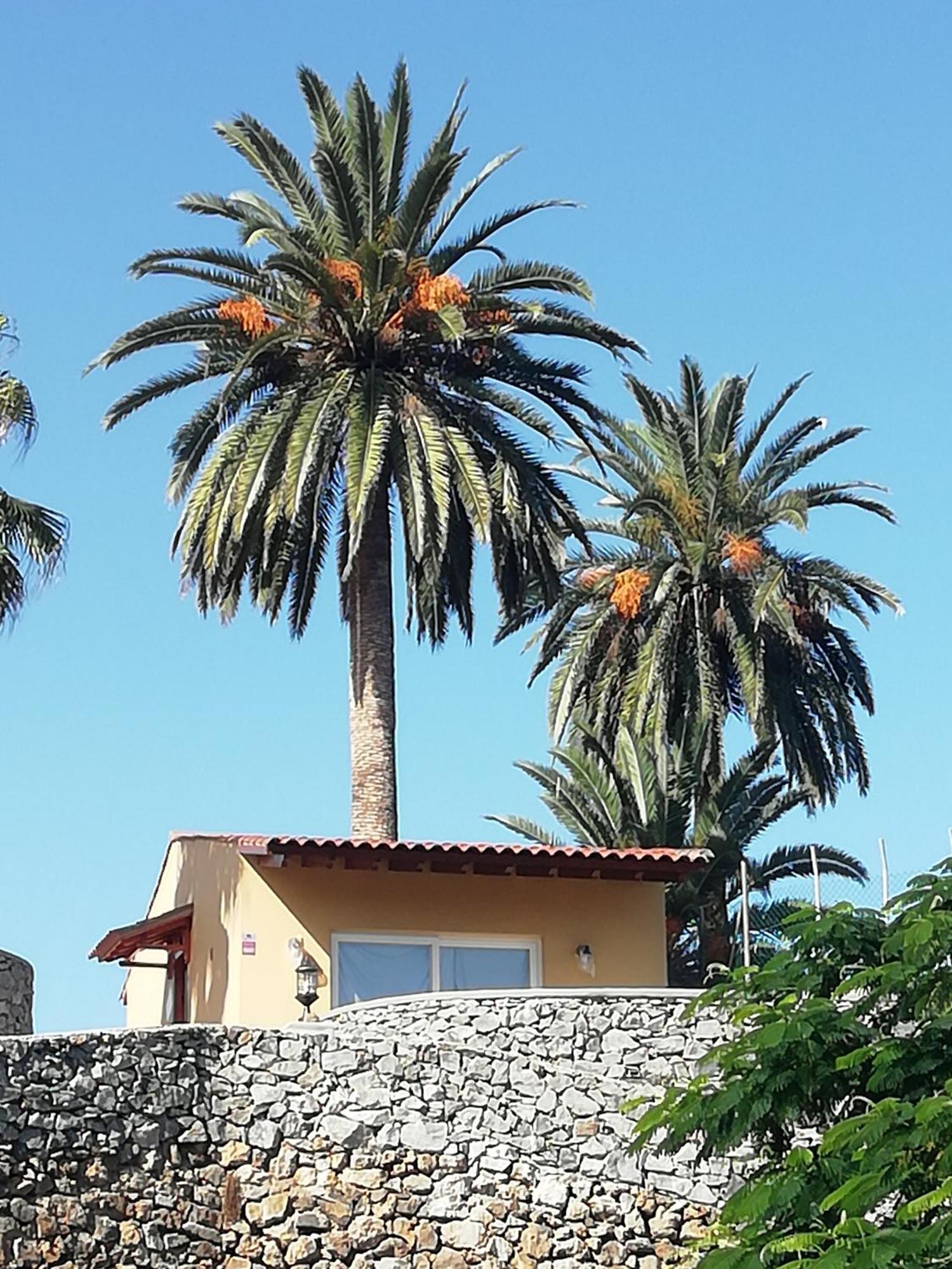 Tapias, Glorieta Holiday home *