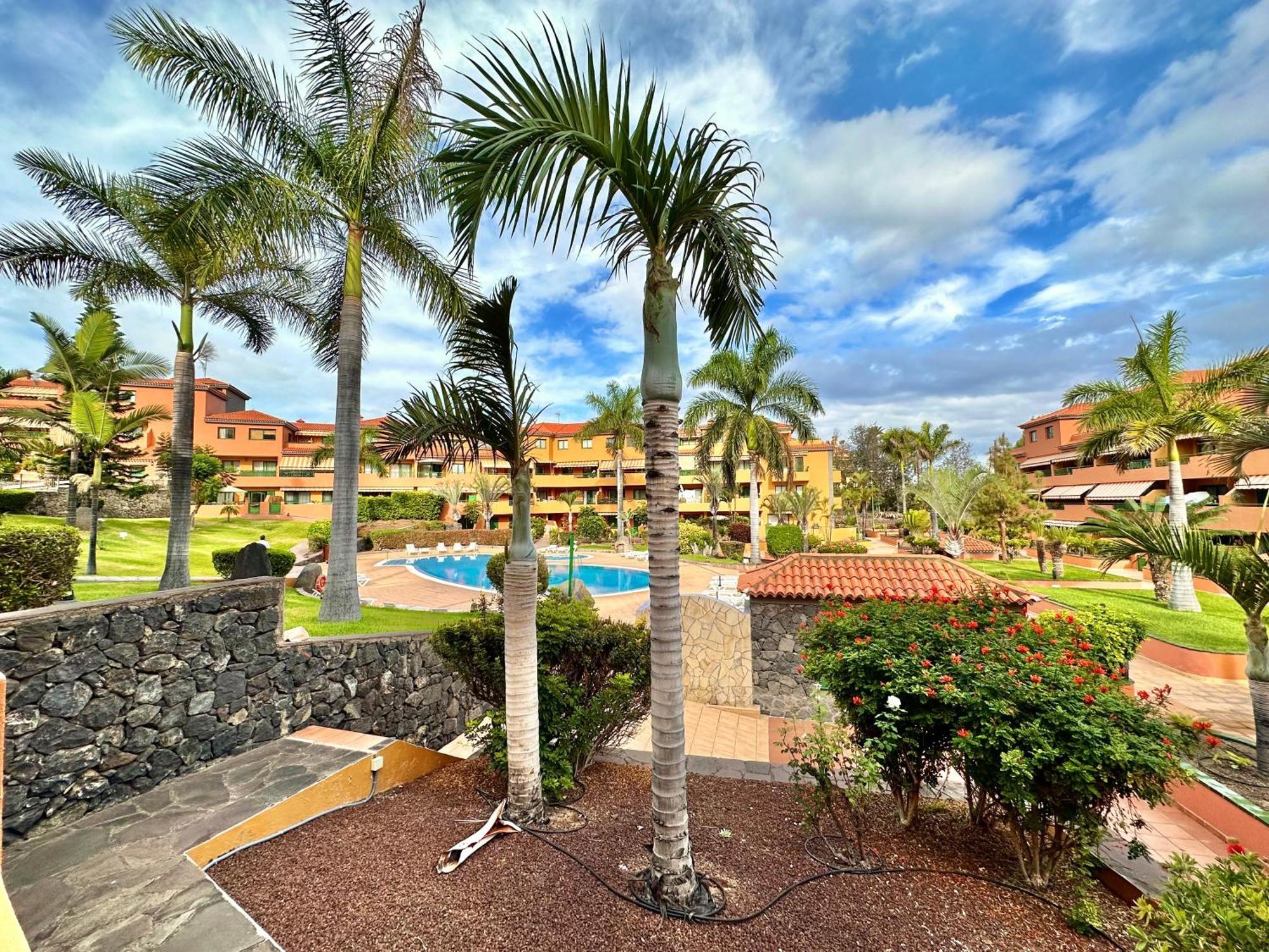 My Dream Apartment Puerto de la Cruz (Tenerife)