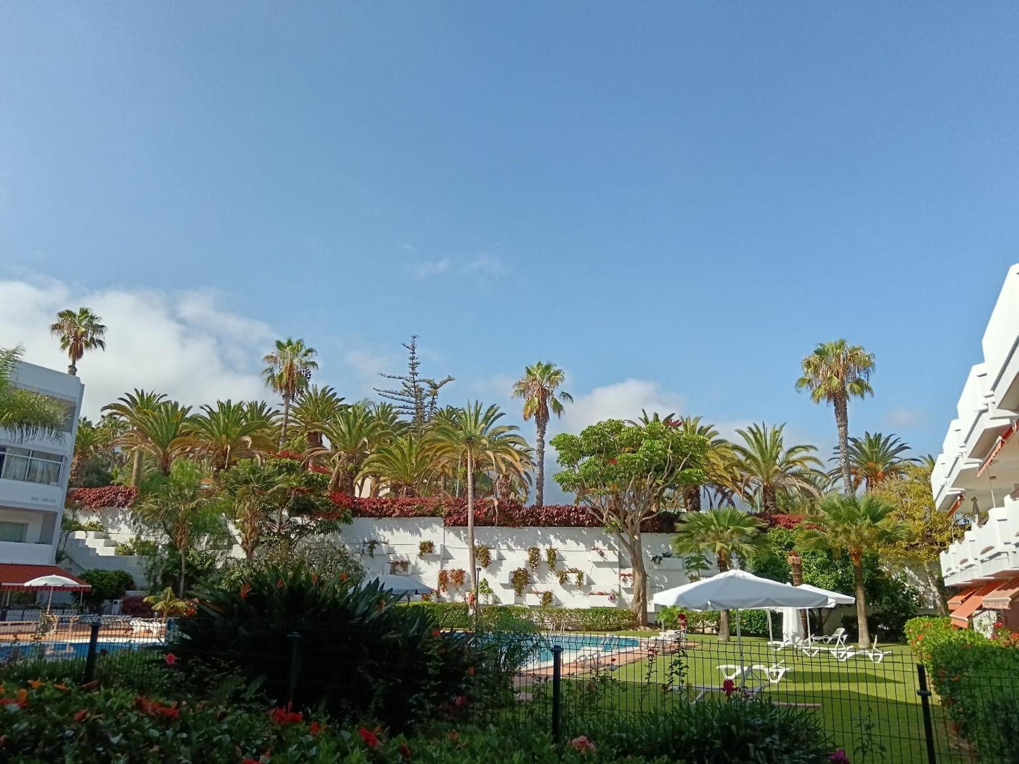 Molino Blanco 107 Puerto de la Cruz (Tenerife)