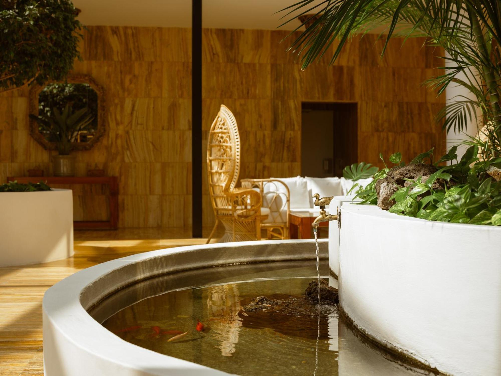Hotel Precise Tenerife Puerto de la Cruz (Tenerife)