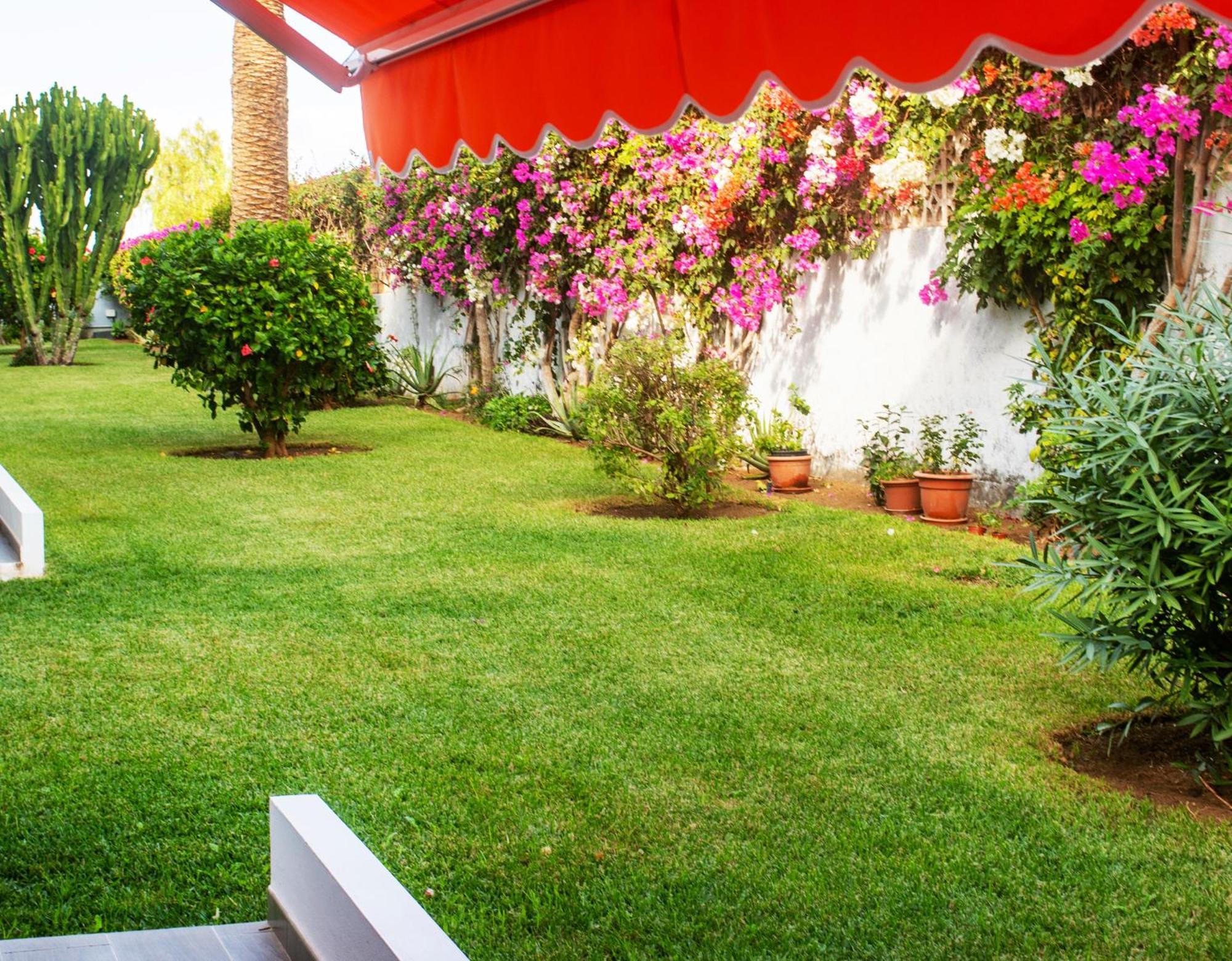 Casa Tranquila Apartment Puerto de la Cruz (Tenerife)