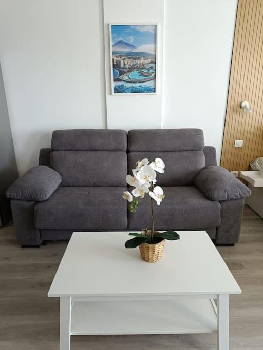 Estudio Girasol Puerto de la Cruz (Tenerife)