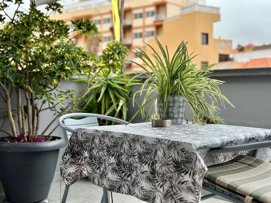 Apartment Center Penthouse Near The